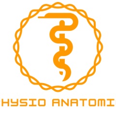 Physio Anatomie GmbH